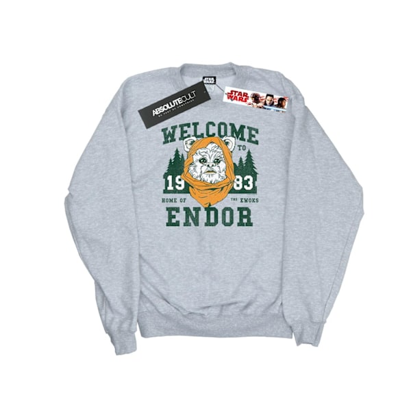 Star Wars Herr Endor Camp Sweatshirt L Sports Grey Sports Grey L