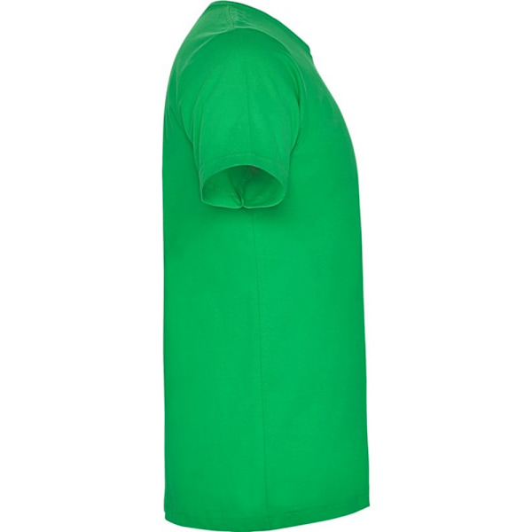 Roly Herr Dogo Premium T-shirt M Irländsk Grön Irish Green M