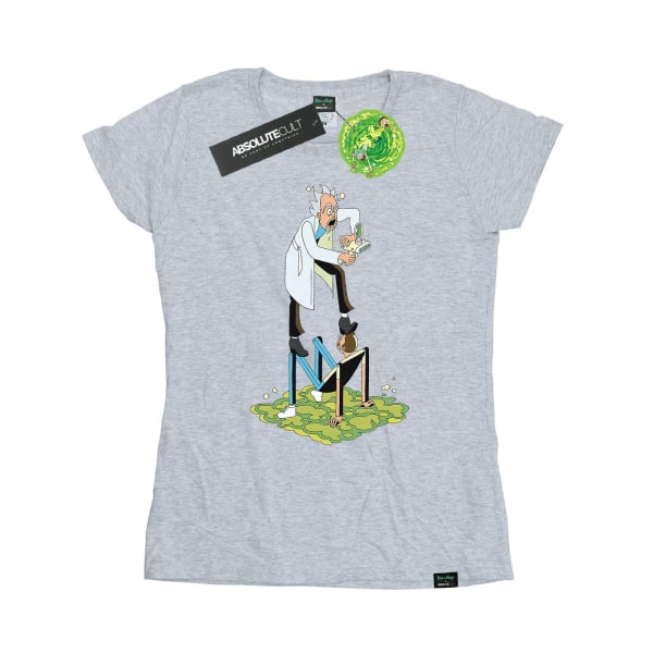 Rick And Morty T-shirt i bomull med stiliserade karaktärer för kvinnor/damer Sports Grey M