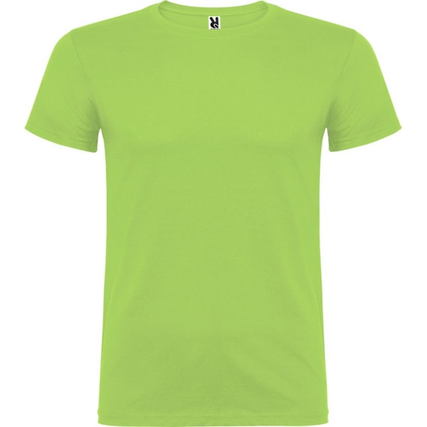 Roly Barn/Barn Beagle Kortärmad T-shirt 3-4 År Oasi Oasis Green 3-4 Years