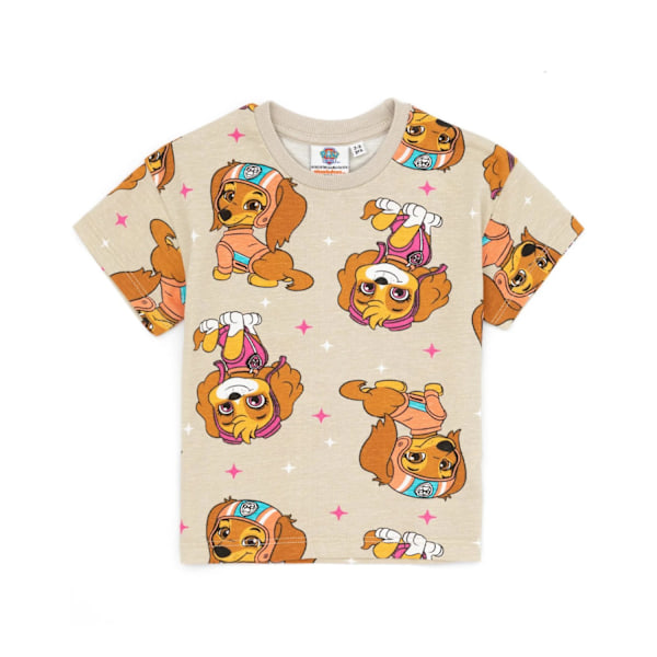 Paw Patrol Girls Believe In Yourself T-Shirt (2-pack) 5-6 år Pastel Purple/Brown 5-6 Years