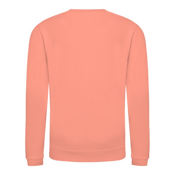 AWDis Just Hoods Barn/Barn Ungdom Enfärgad Sweatshirt med Rund Hals 7-8 år Dusty Pink 7-8 Years