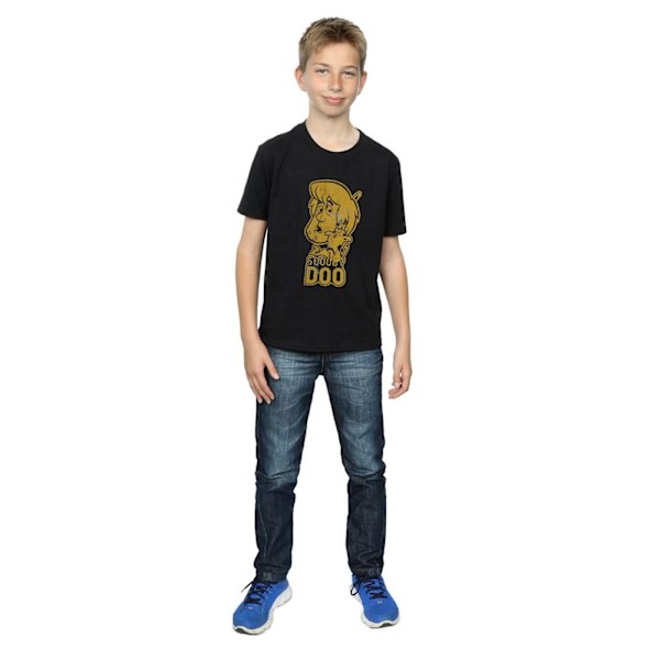 Scooby Doo Boys And Shaggy T-Shirt 12-13 År Svart Black 12-13 Years