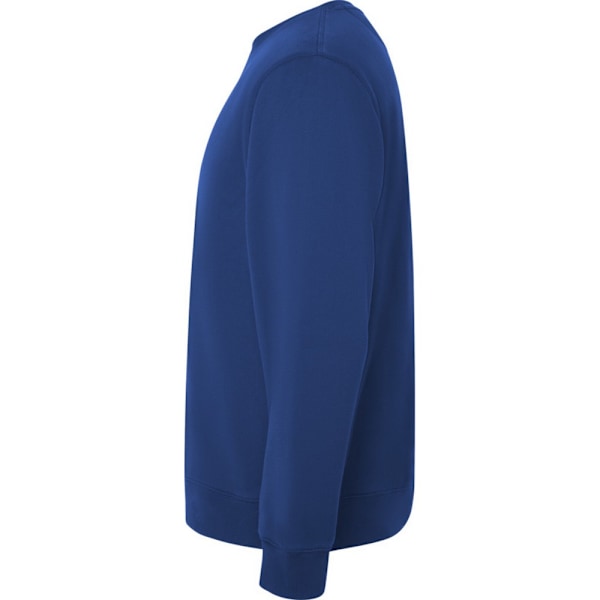 Roly Unisex Vuxen Batian Crew Neck Sweatshirt XXL Royal Blue Royal Blue XXL
