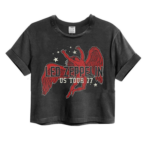 Amplified Womens/Ladies Icarus Led Zeppelin Crop Top M Charcoal Charcoal M