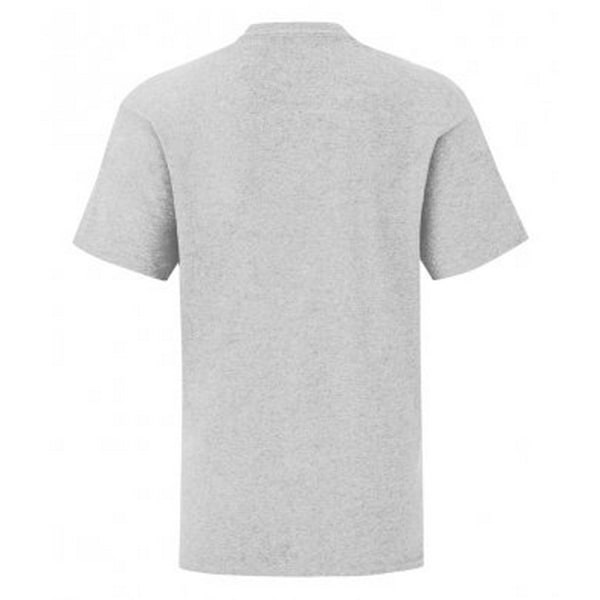 Fruit Of The Loom Barn/Barnkläder Ikonisk T-shirt 12-13 år Heather Grey Heather Grey 12-13 Years