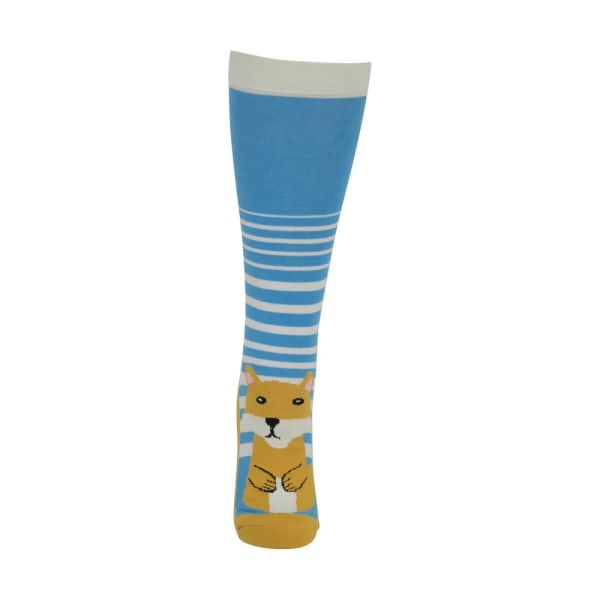 HyFASHION Adults Mr Foxy Socks (paket med 2 par) 4-8 UK Blue/Pi Blue/Pink/Orange 4-8 UK