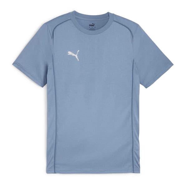 Puma Herr TeamFinal T-shirt L Blå Blue L
