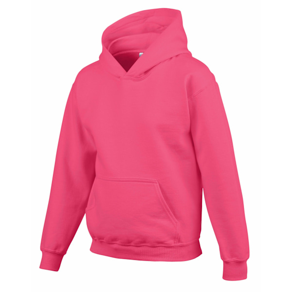 Gildan Barn/Barn Heavy Blend Hooded Sweatshirt 12-13 År Heliconia 12-13 Years