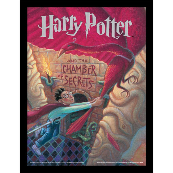 Harry Potter Hemligheternas Kammare Inramad Poster 40cm x 30cm M Multicoloured 40cm x 30cm