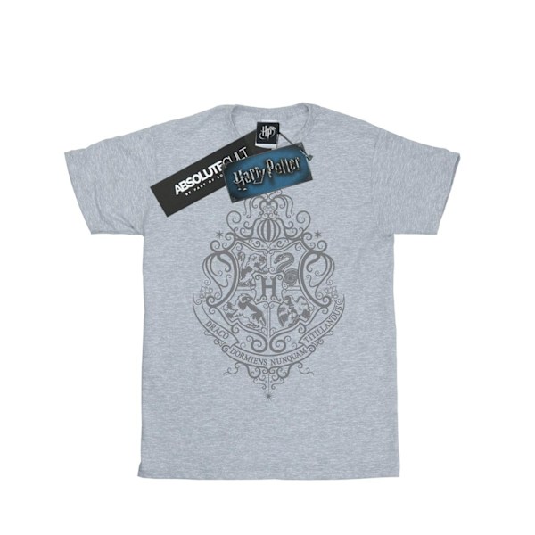 Harry Potter Boys Hogwarts Draco Dormiens Crest T-shirt 12-13 år Sports Grey 12-13 Years