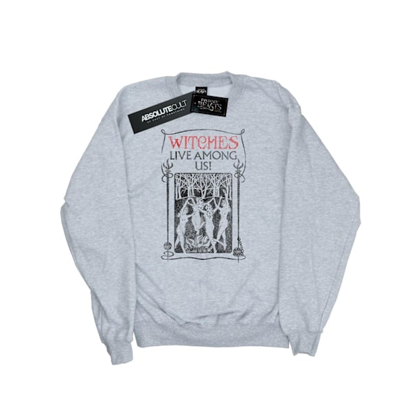 Fantastiska vidunder Kvinnor/Damer Häxor Lever Bland Oss Sweatshirt Heather Grey XL