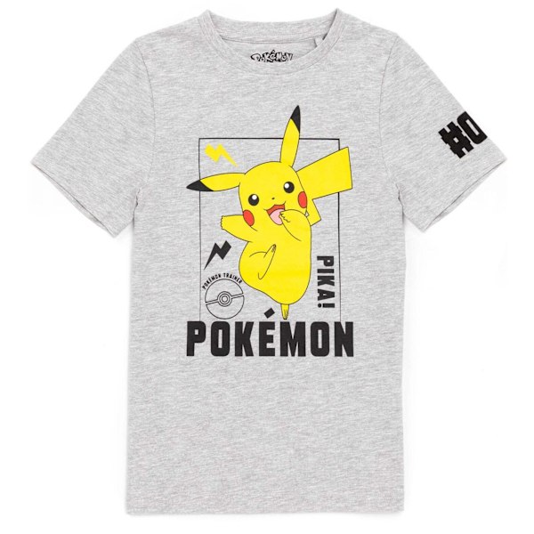 Pokemon Barn/Barn Pikachu T-shirt 13-14 år Grå Grey 13-14 Years