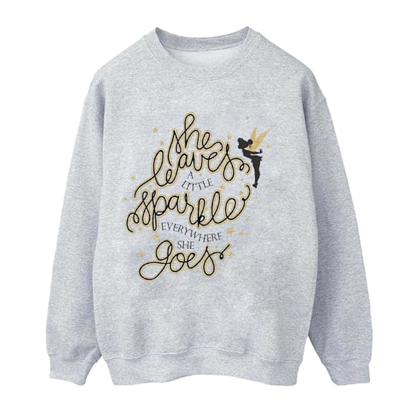 Disney Boys Tinkerbell Stars Sweatshirt 5-6 år Sports Grey Sports Grey 5-6 Years