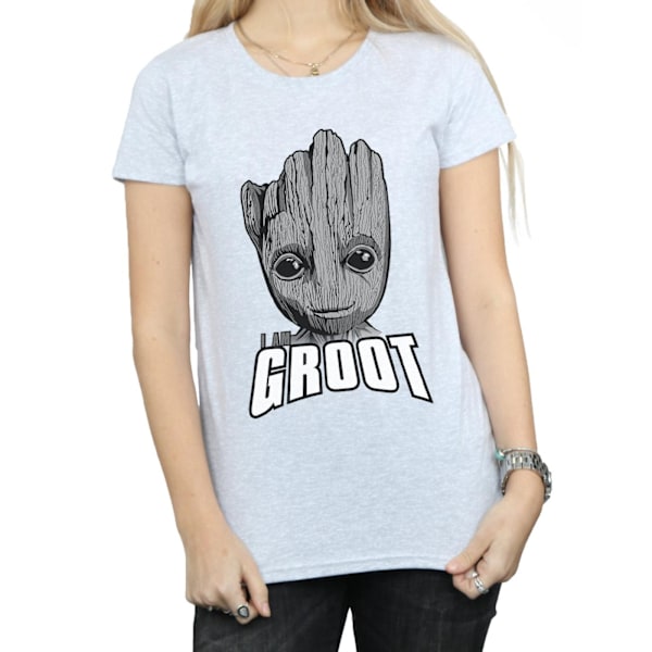 Marvel Dam/Kvinnor Guardians Of The Galaxy Groot Ansikte Bomull Sports Grey M