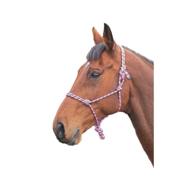 Shires Rope Horse Headcollar One Size Rosa/Svart Pink/Black One Size
