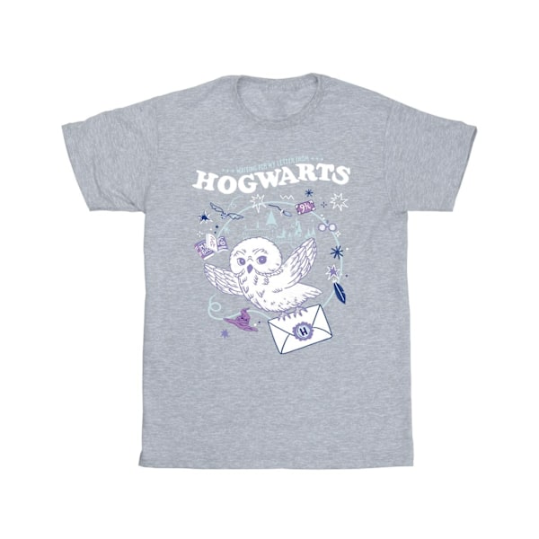Harry Potter Pojkar Uggla Brev Från Hogwarts T-Shirt 3-4 År Sp Sports Grey 3-4 Years