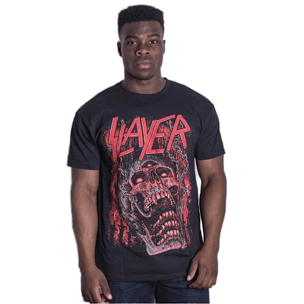 Slayer Unisex Adult Meat Hooks T-Shirt L Svart Black L