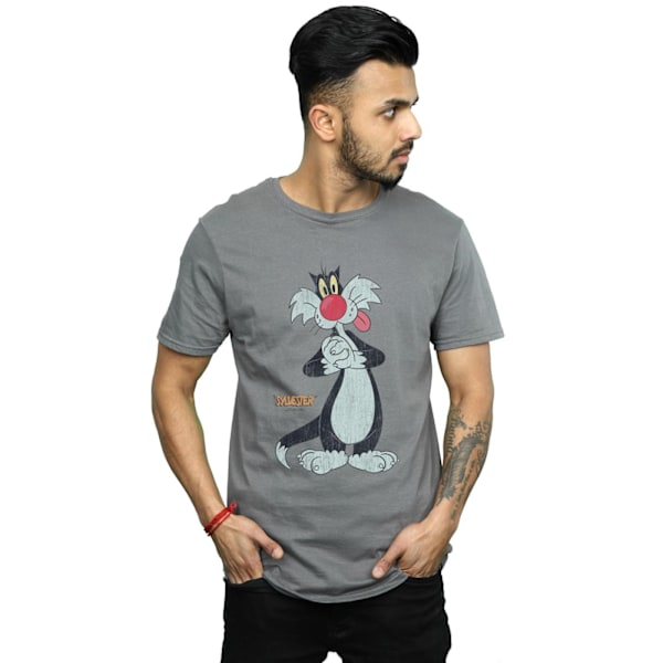 Looney Tunes Herr Sylvester Distressed T-shirt M Charcoal Charcoal M