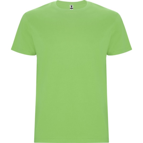 Roly Barn/Barn Stafford Kortärmad T-shirt 11-12 år Oasis Green 11-12 Years