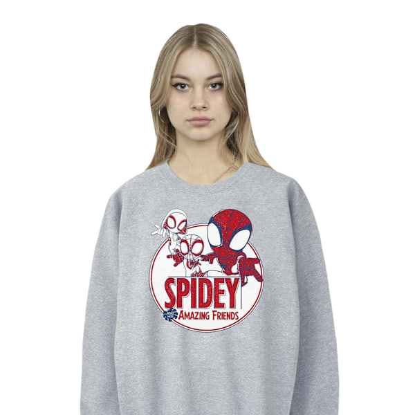 Marvel Dam/Kvinnor Spidey Och Hans Fantastiska Vänner Cirkeltröja Sports Grey 3XL