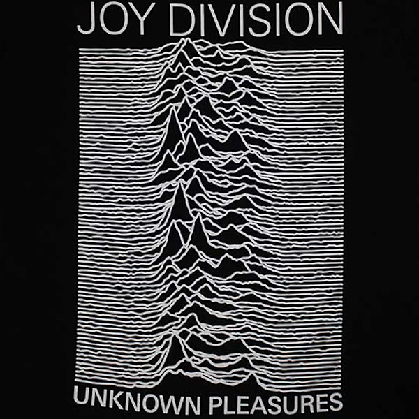 Joy Division Dam/Kvinnor Okända Nöjen T-shirt M Svart Black M