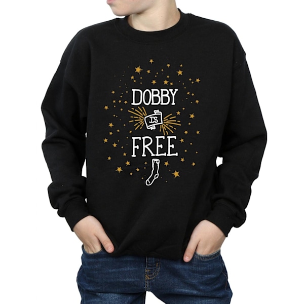 Harry Potter Pojkar Dobby Is Sweatshirt 9-11 År Svart Black 9-11 Years