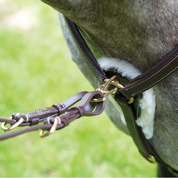 Salisbury Läderstygn Hästbröstplatta Ponny Australisk Nöt Australian Nut Pony