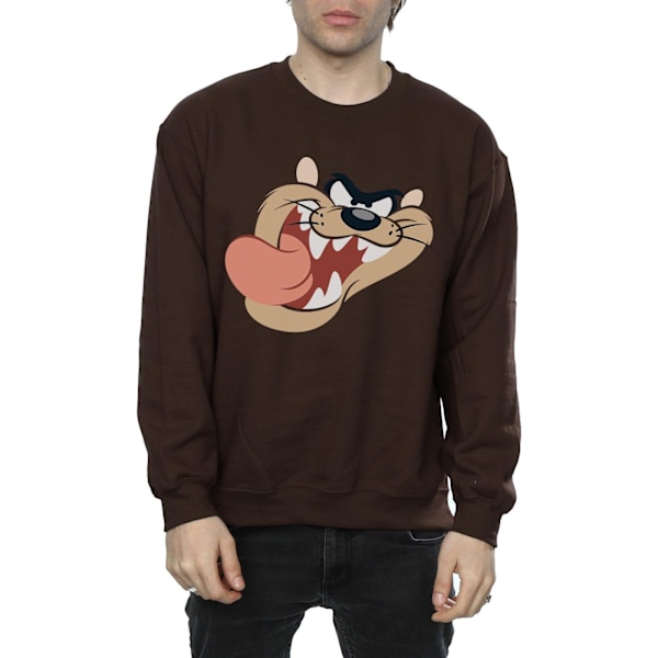 Looney Tunes Herr Tasmanian Devil Ansikte Sweatshirt M Choklad Chocolate M