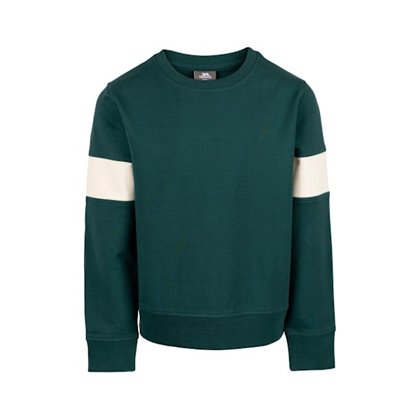 Trespass Boys Antro Långärmad Sweatshirt 9-10 År Pine Pine 9-10 Years