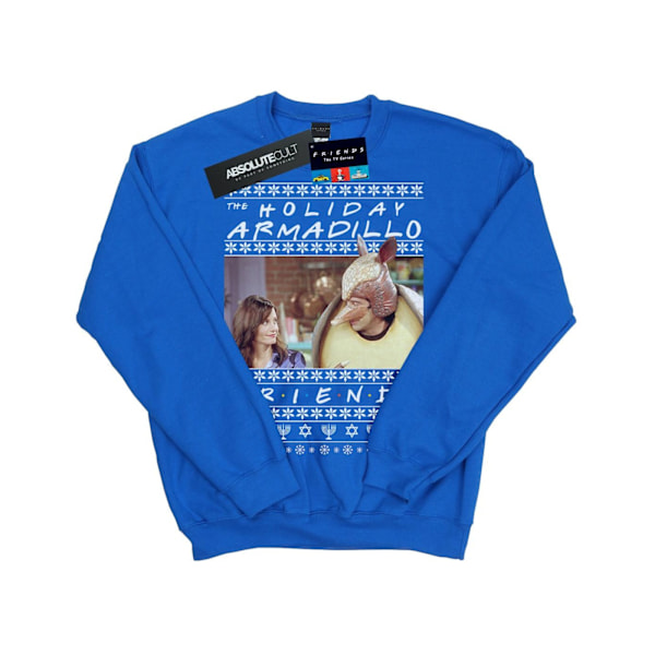 Friends Boys Fair Isle Holiday Armadillo Sweatshirt 7-8 år R Royal Blue 7-8 Years