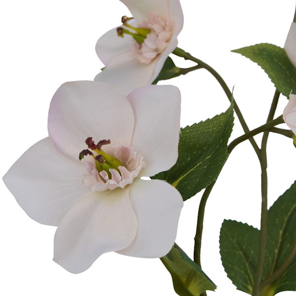 Hill Interiors The Natural Garden Collection Julros Konstgjord Pale Apricot One Size