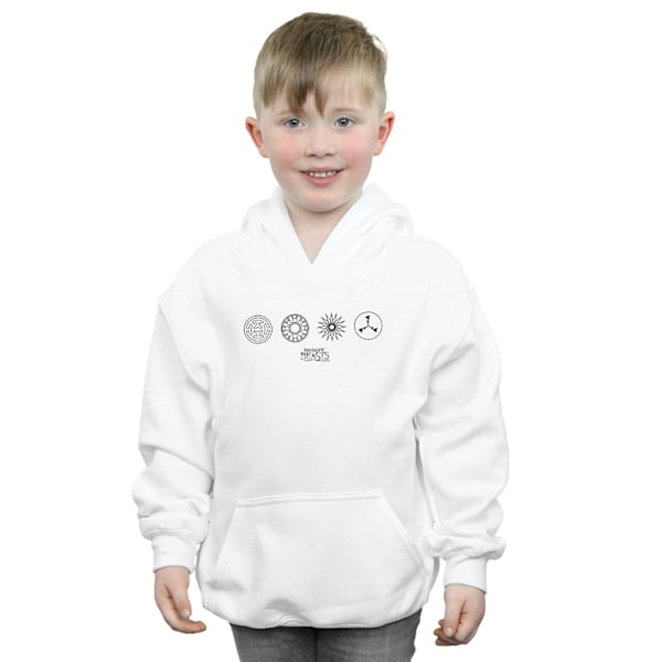 Fantastiska vidunder Boys Circular Icons Hoodie 5-6 år Vit White 5-6 Years