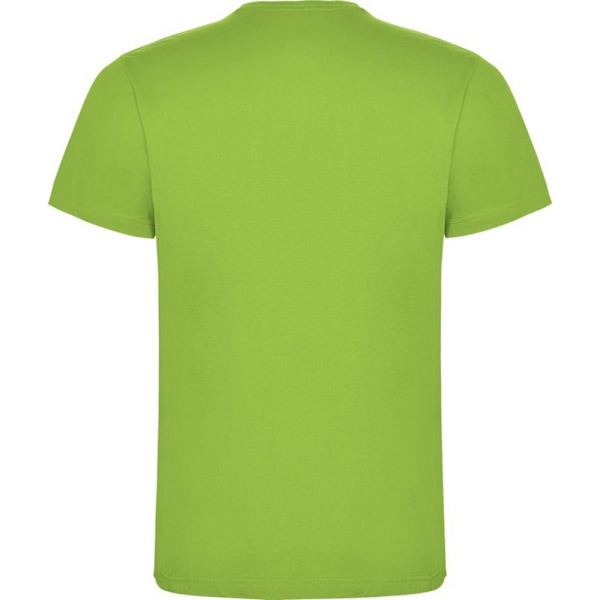 Roly Herr Dogo Premium T-shirt M Oasis Grön Oasis Green M