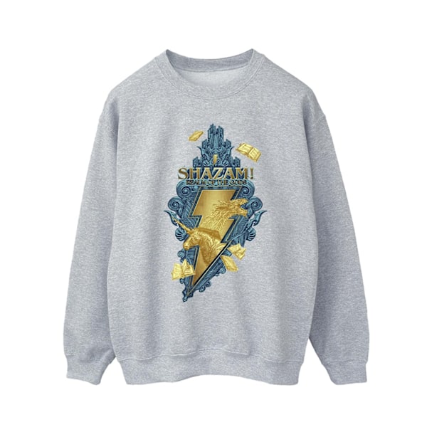 DC Comics Herr Shazam Fury Of The Gods Golden Animal Bolt Sweatshirt Sports Grey M