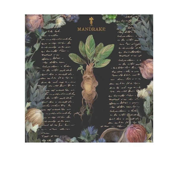 Harry Potter Yume Fantasy Print 40cm x 40cm Svart Black 40cm x 40cm