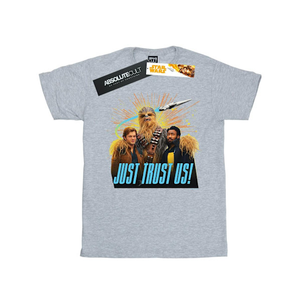 Star Wars Solo Just Trust Us T-shirt L Sports Grey för män Sports Grey L