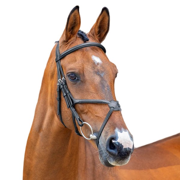 Velociti Läder Häst Grackle Bridle Full Black Black Full