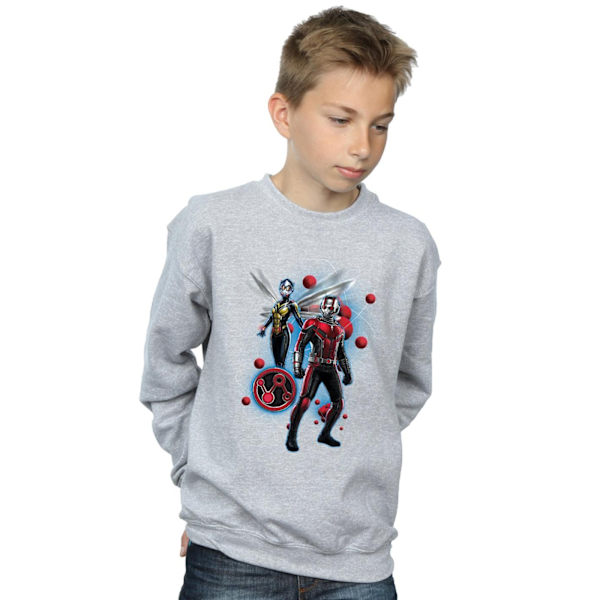 Marvel Boys Ant-Man And The Wasp Particle Pose Sweatshirt 7-8 år Sports Grey 7-8 Years