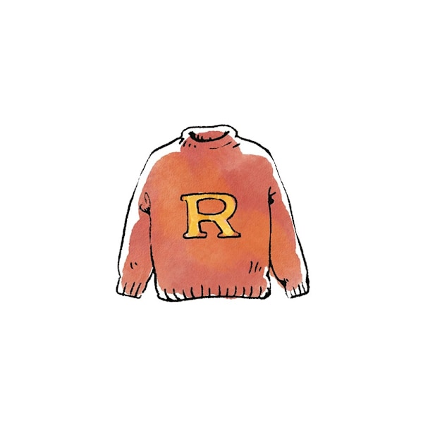 Harry Potter Ron´s Jumper Print 30cm x 30cm Vit/Persika White/Peach 30cm x 30cm
