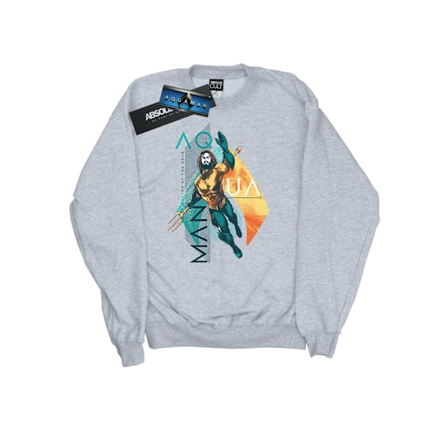 DC Comics Girls Aquaman Tropical Icon Sweatshirt 12-13 år Sp Sports Grey 12-13 Years