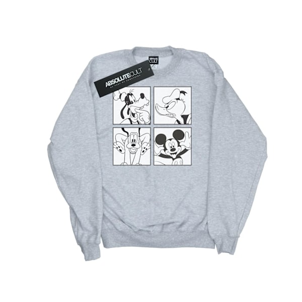 Disney Dam/Damer Mickey, Donald, Goofy Och Pluto Boxad Sweatshirt Heather Grey XL