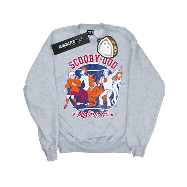 Scooby Doo Boys Collegiate Circle Sweatshirt 12-13 år Sport Sports Grey 12-13 Years