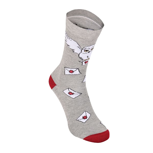Harry Potter Unisex Vuxen Hedwig Hogwarts Brevstrumpor L-XL Grå Grey/Maroon/White L-XL