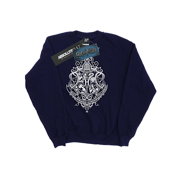 Harry Potter Pojkar Hogwarts Draco Dormiens Crest Sweatshirt 5-6 Navy Blue 5-6 Years
