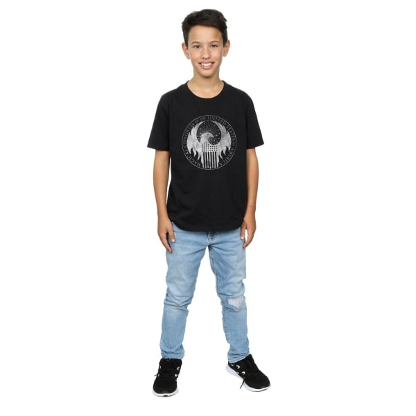 Fantastic Beasts Boys Distressed Magical Congress T-Shirt 5-6 Y Black 5-6 Years