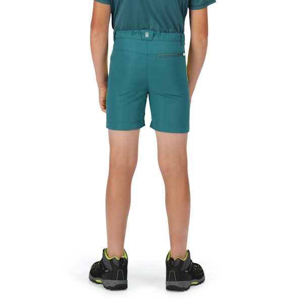 Regatta Sorcer II Bergshorts för barn 7-8 år Paci Pacific Green/Bright Kiwi 7-8 Years