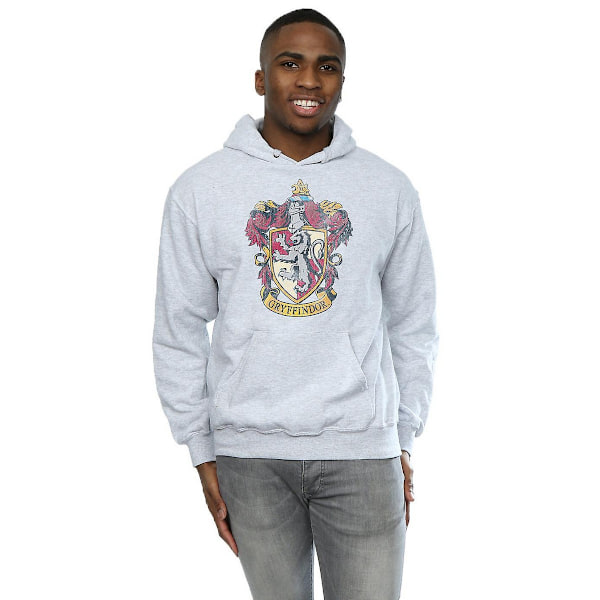 Harry Potter Herr Gryffindor Hoodie S Sports Grey Sports Grey S