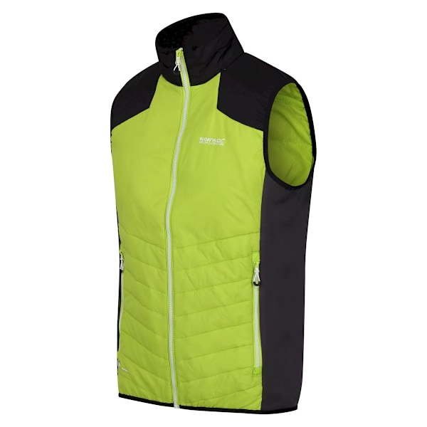 Regatta Halton VI lättviktig väst för män M Bright Kiwi/Bl Bright Kiwi/Black M