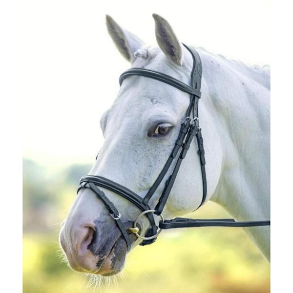 Velociti Upphöjd Flash Läder Hästgrimma Cob Svart Black Cob